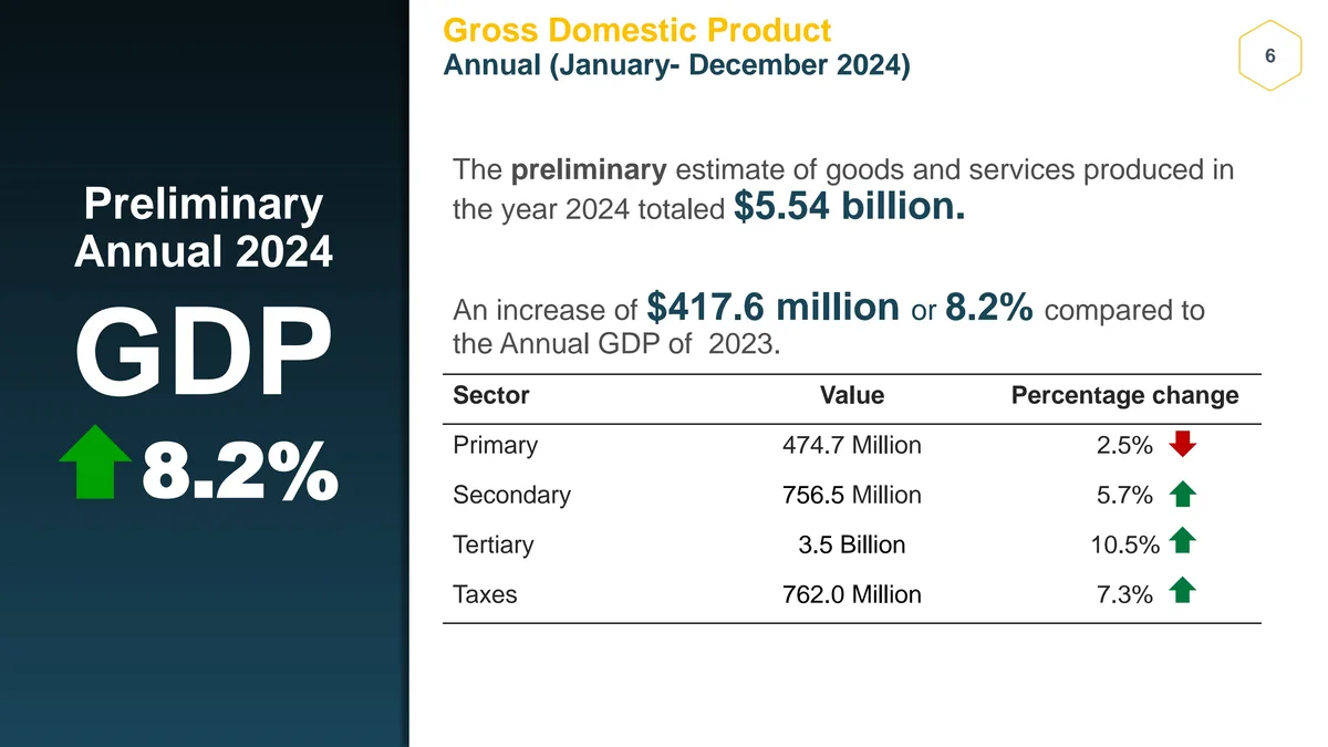 Belize GDP 2024 preliminary annual report showing 8.2% growth